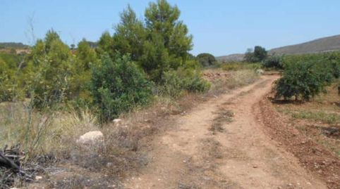 Solvia Inmobiliaria  Suelo Rústico Sant Mateu, immagine 5