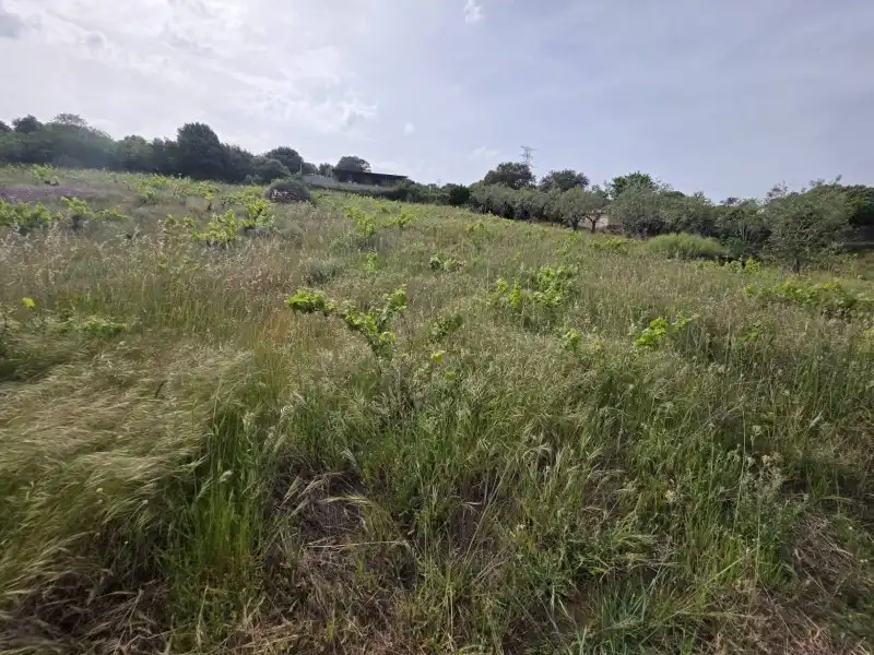 Terreni e lotti in vendita a Malpartida de Plasencia, imagen 7