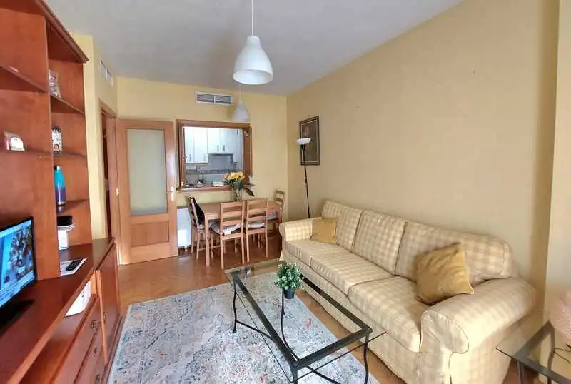 Sala d'estar de Pis en venda en Madrid amb Aire condicionat, Calefacció i Jardí privat