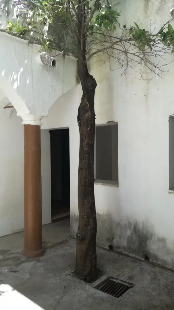 Casa con terraza en venta en Arcos de la Frontera, imagen 3