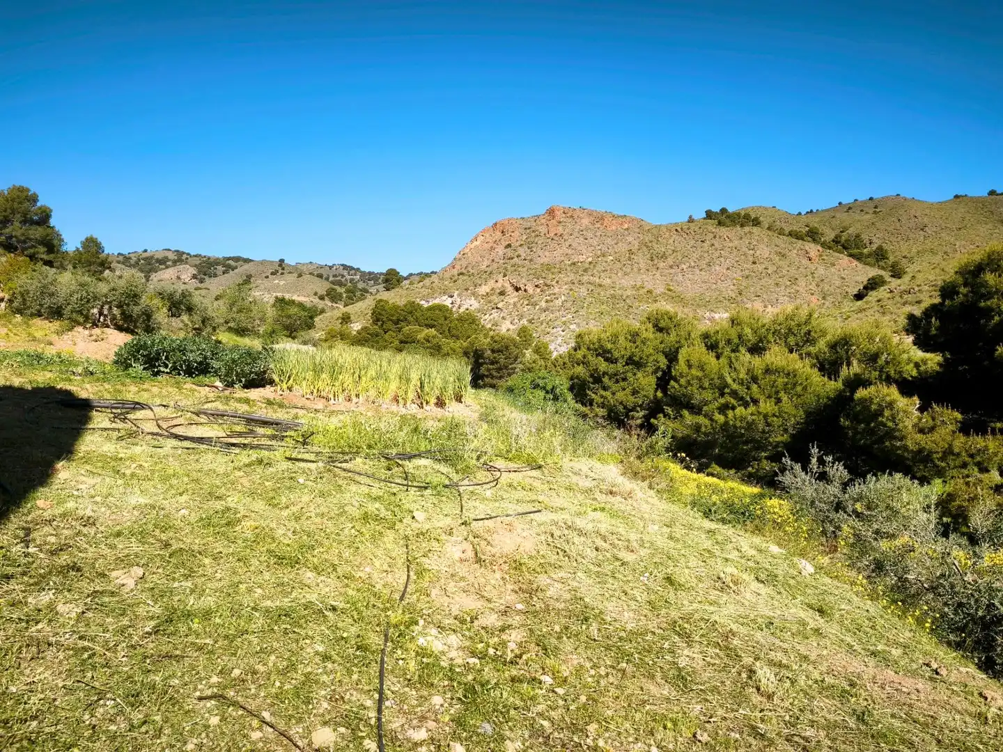 Terrains et parcelles à vendre à MORATA, imagen 38