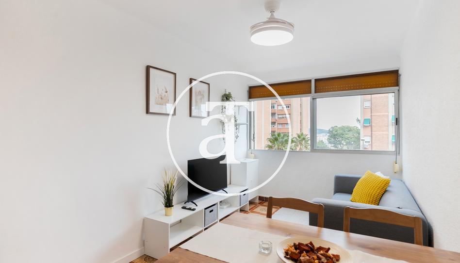 Photo 1 of Flat to rent in Carrer del Freixe, Sant Ildefons, Barcelona