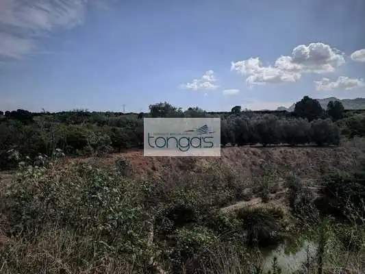 Terreny rústic en venda a Vallés, imagen 20