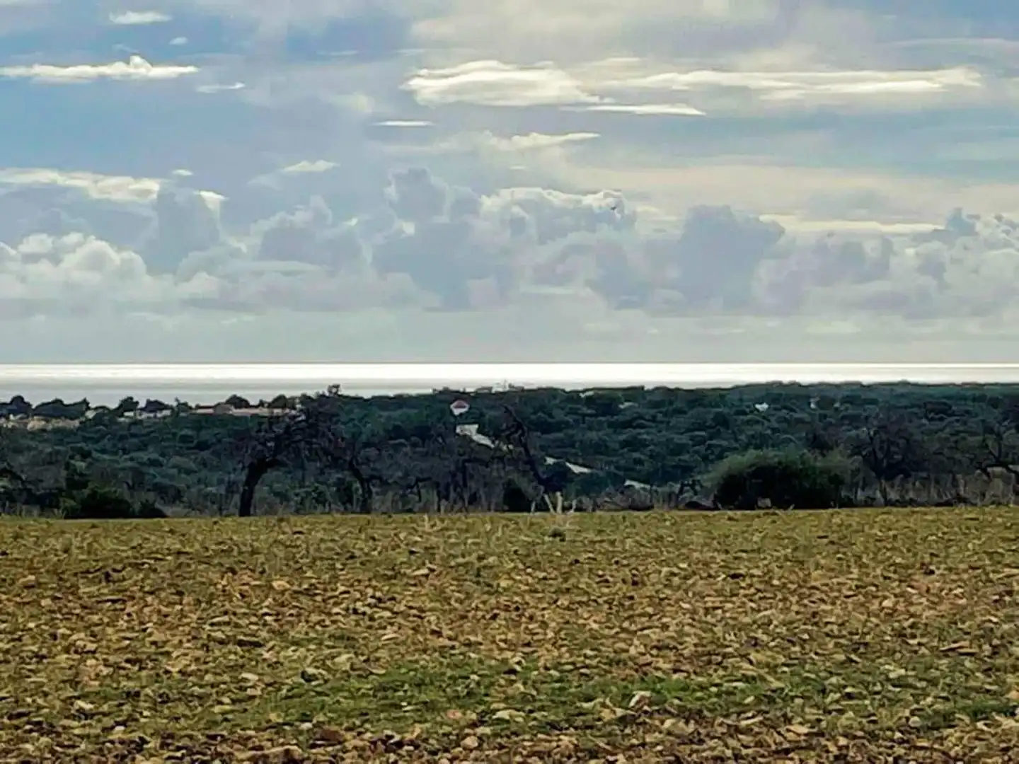 Finca rústica en venda en Manacor amb Aire condicionat, Calefacció i Traster