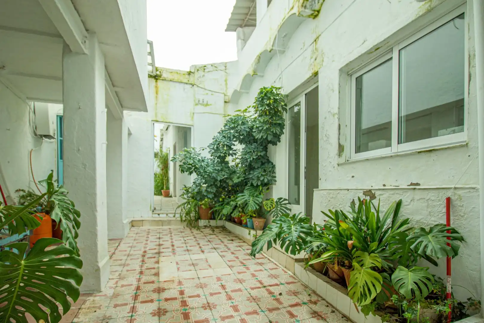 Maison à vendre à Casco Antiguo, imagen 4