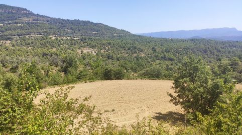 FINCA RUSTICA EN VENTA EN PANILLO, immagine 4