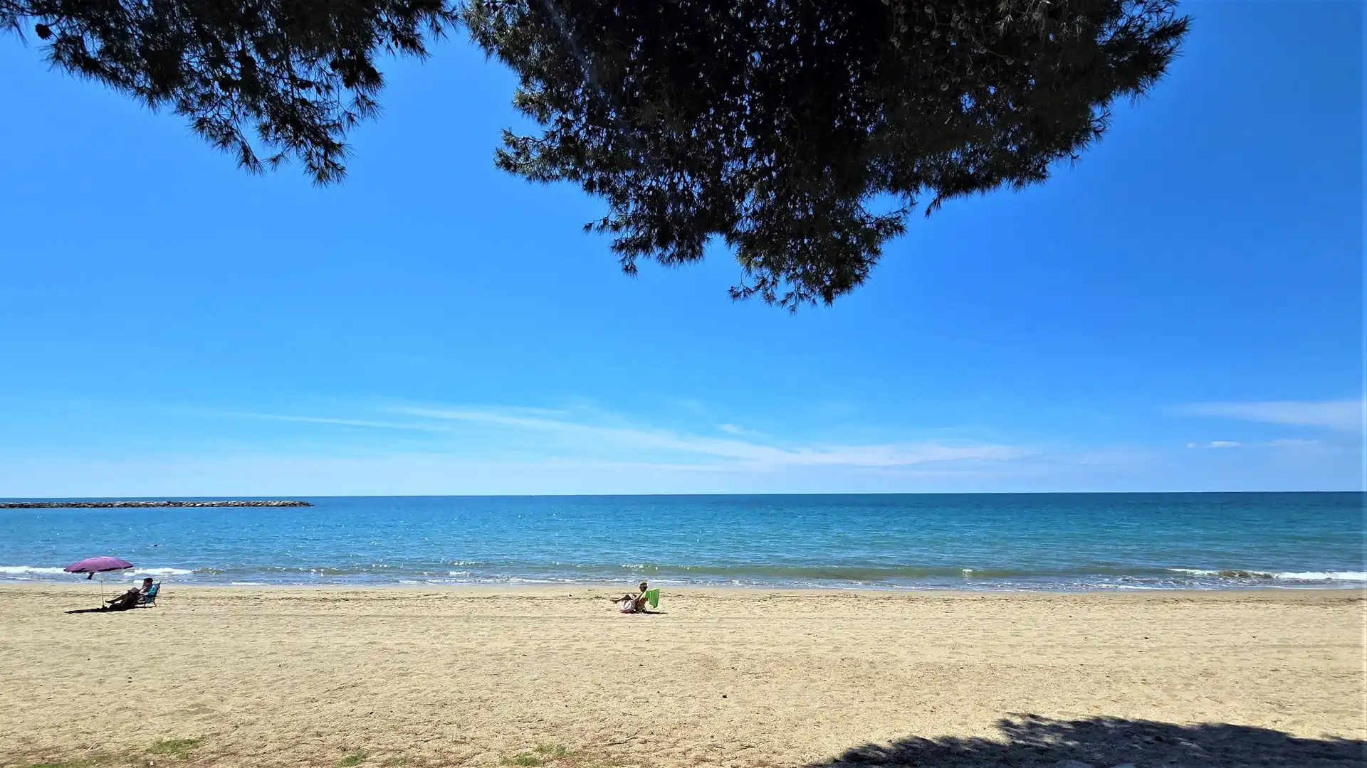 Apartments for rent in Avenida DIPUTACIO, Cap de Sant Pere