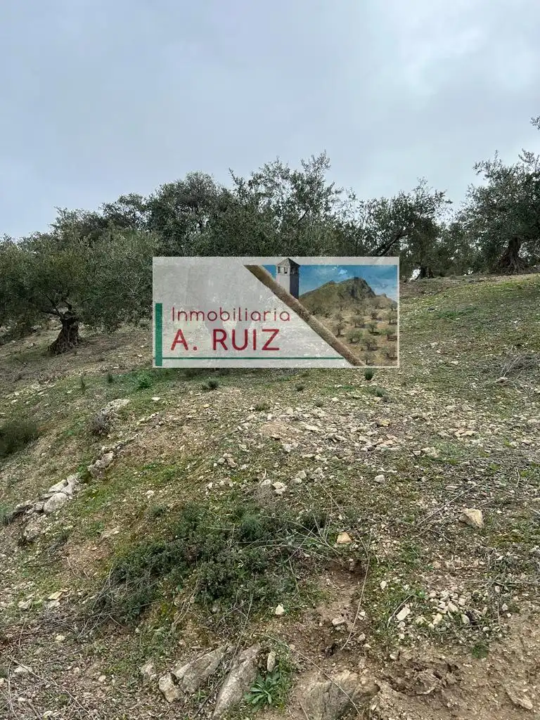 Terreny rústic en venda a Priego de Córdoba, imagen 10