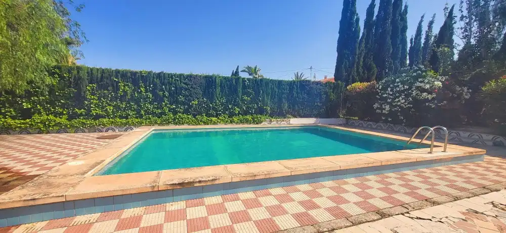Piscina de Casa o chalet en venta en Novelda