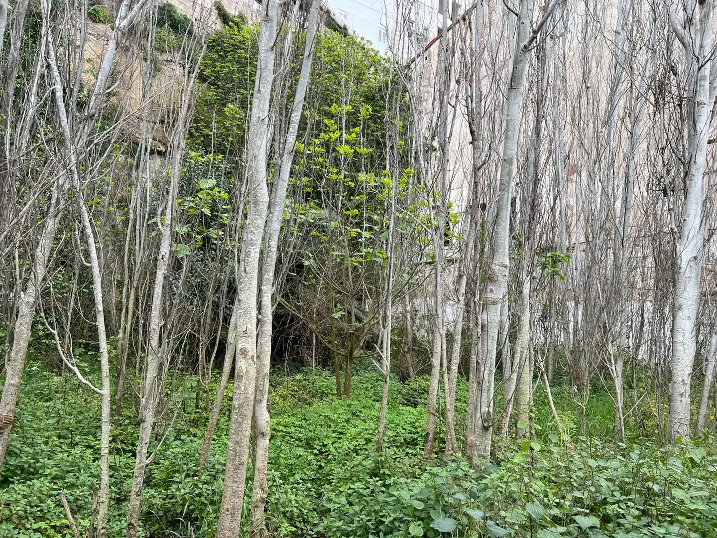 Residencial en venda en Maó - Mahón