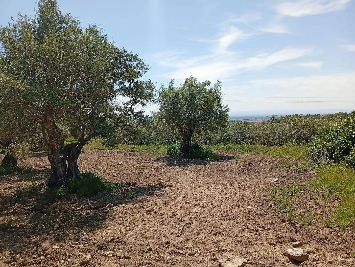 Terreni e lotti in vendita a Villanueva de la Vera, imagen 32