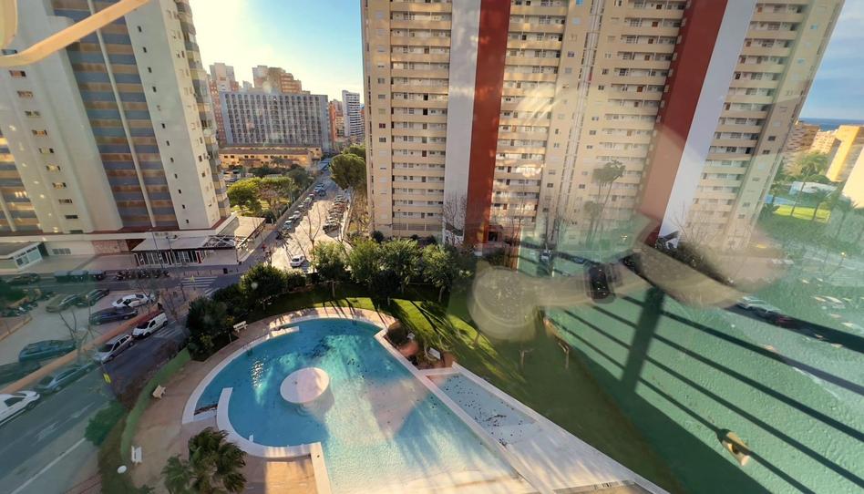 Foto 1 de Apartamento en venta en Juzgados - Plaza de Toros, Alicante
