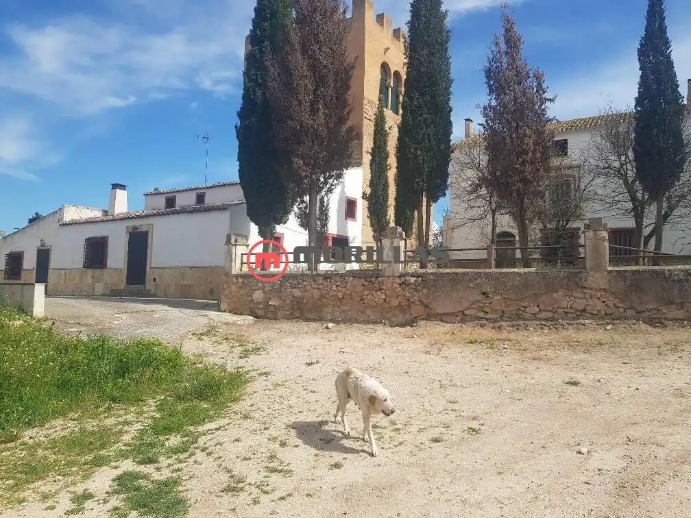 Einzigartige Immobilien zum Verkauf in Lugar del Matadero 166, imagen 3