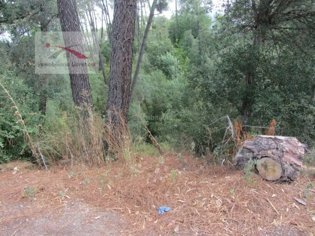 Terreny residencial en venda a Lloret Blau - La Creu de Lloret, imagen 8