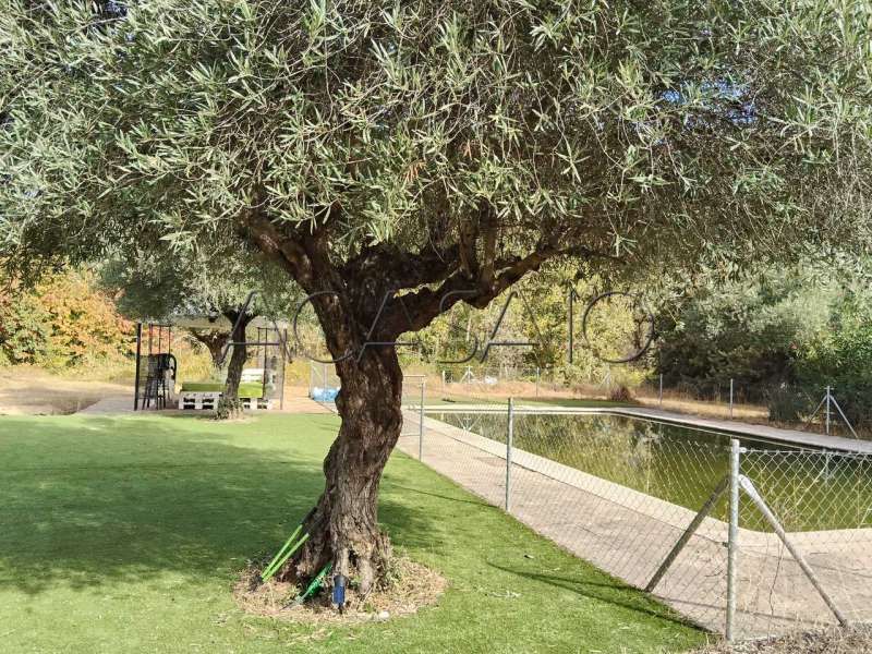 Casa o chalet en venta