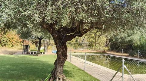 Foto 2 de Casa o chalet en venta en El Casar de Escalona, Toledo