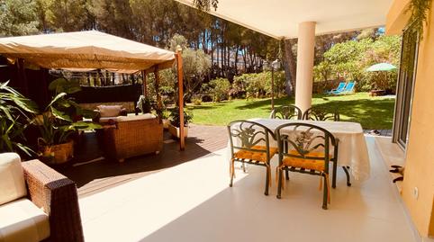 Photo 3 of Planta baja for sale in Sol de Mallorca, Calvià