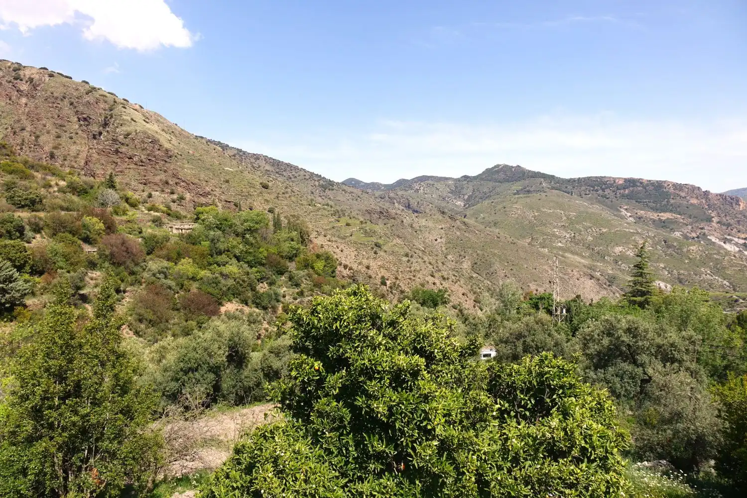 Vista exterior de Casa o xalet en venda en Soportújar amb Terrassa