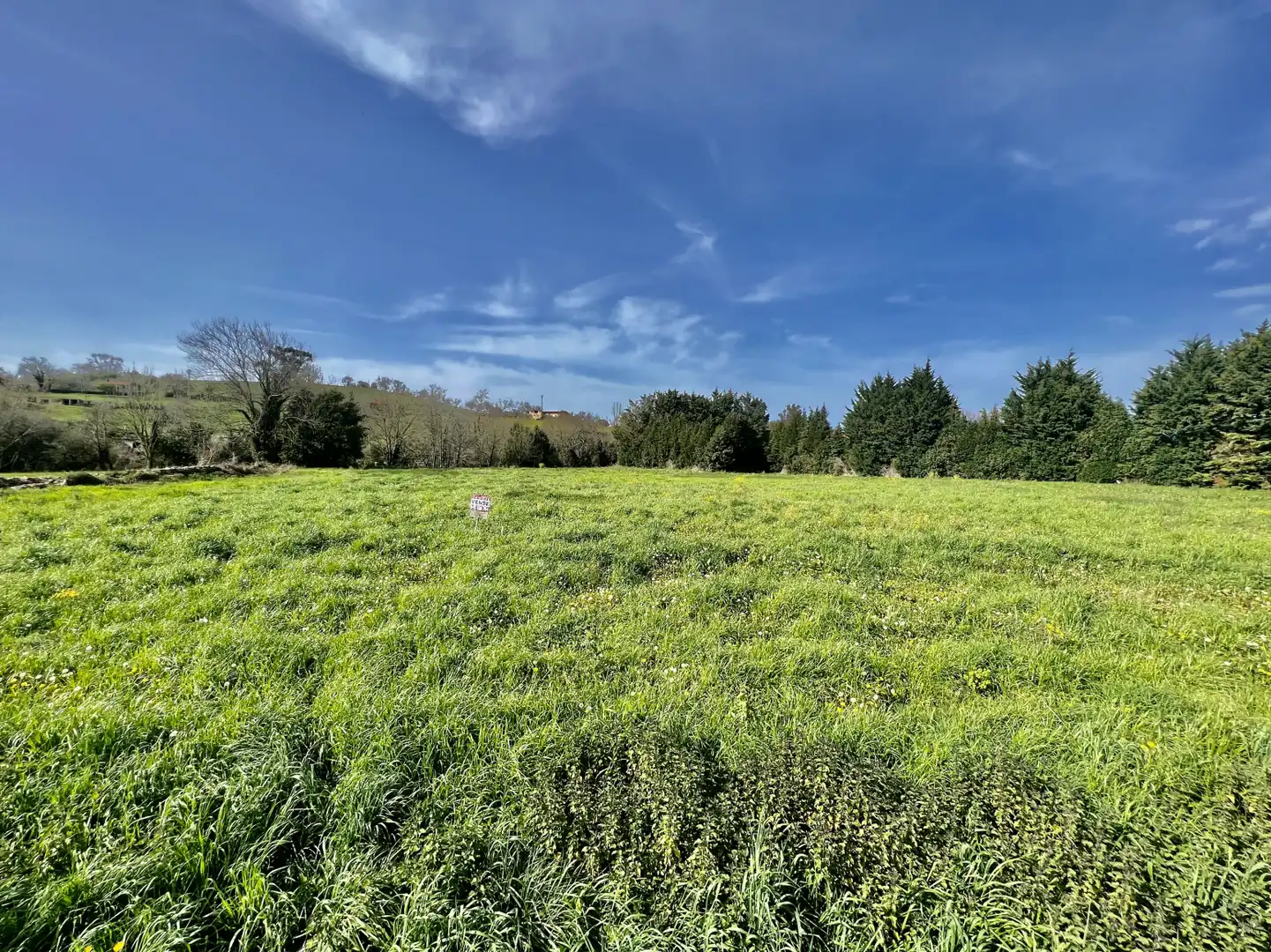 Land for sale in Entrambasaguas