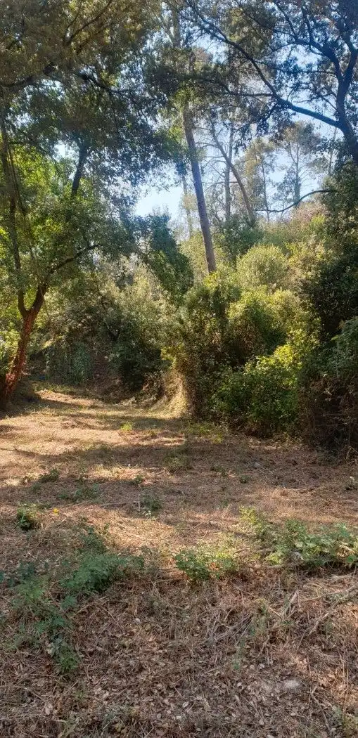 Wohnbaugrundstück zum Verkauf in Avinguda Can Valls, imagen 7