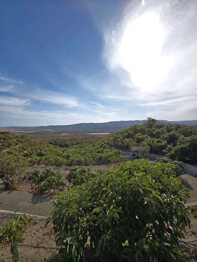 Country homes for sale in N/A, Norte - Barrio del Pilar - El Reñidero