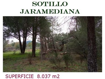 Terreny rústic en venda a Sotillo de la Adrada
