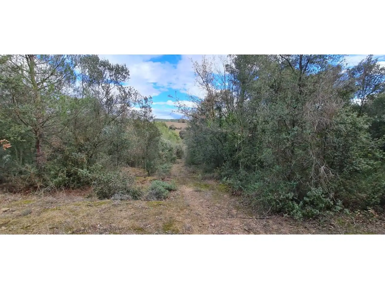 Rural land for sale in Lliçà d'Amunt, imagen 19