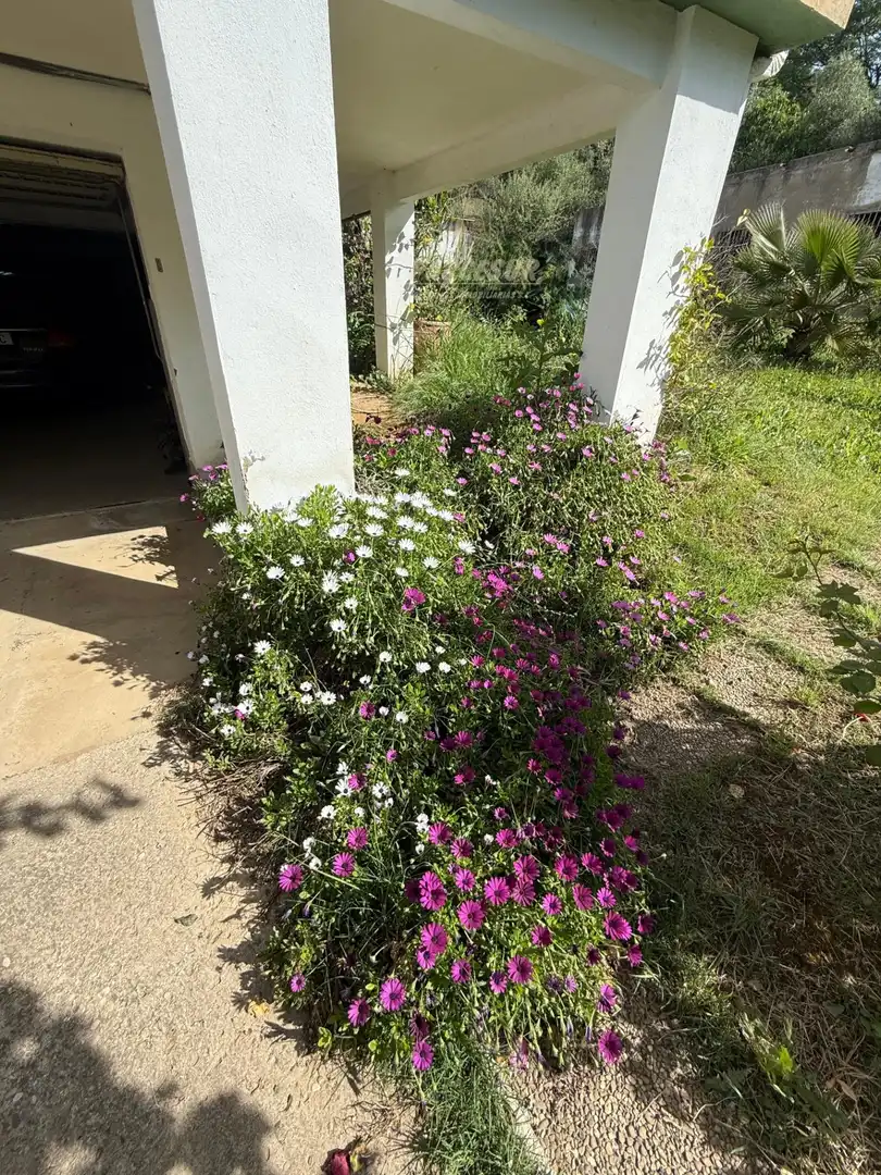 Casa con giardino in vendita a Almodóvar del Río, imagen 3