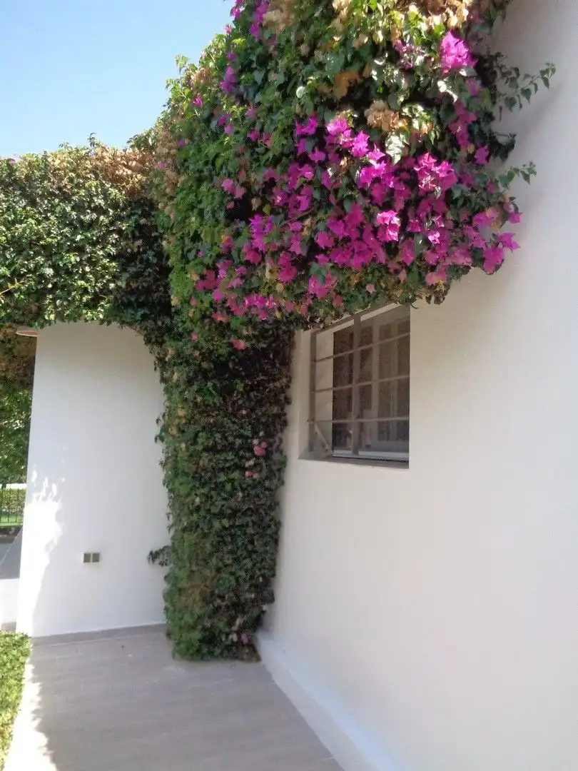 Terrassa de Casa o xalet en venda en Jávea / Xàbia amb Aire condicionat, Calefacció i Jardí privat