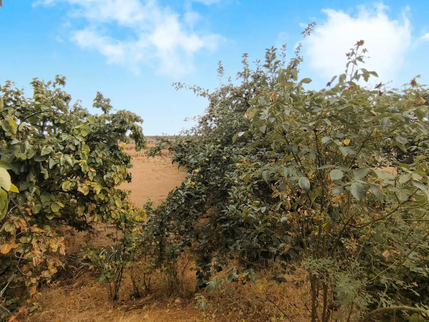 Casa o chalet en venta en Pedraza de Campos con Calefacción, Jardín privado y Terraza
