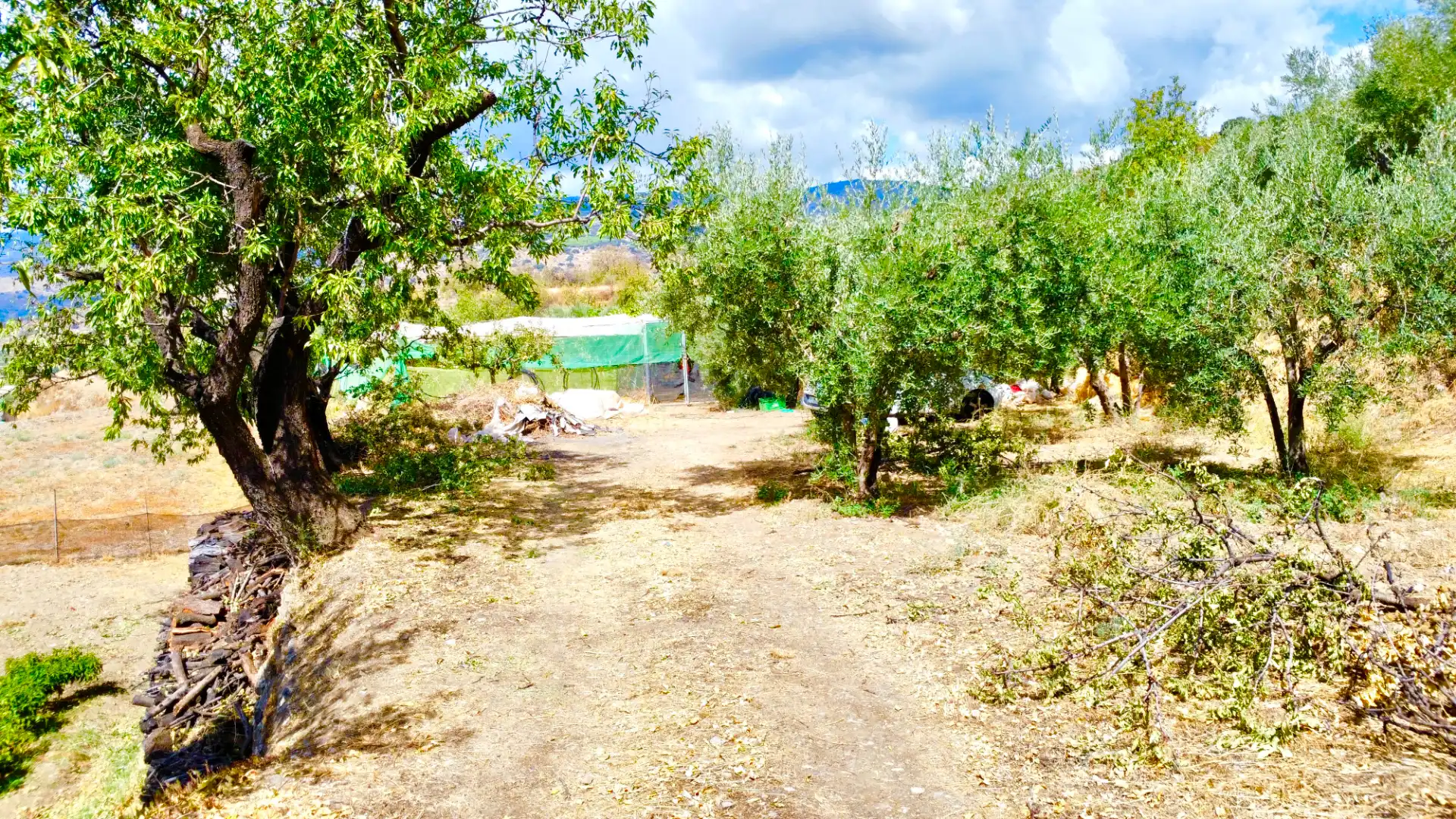 Terreno rustico in vendita a N/A, imagen 28