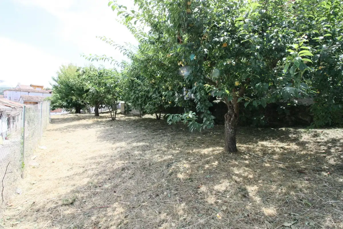 House for sale in Calle Nogal 12, imagen 24