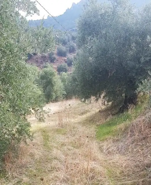 Terreni e lotti in vendita a Villacarrillo, imagen 3