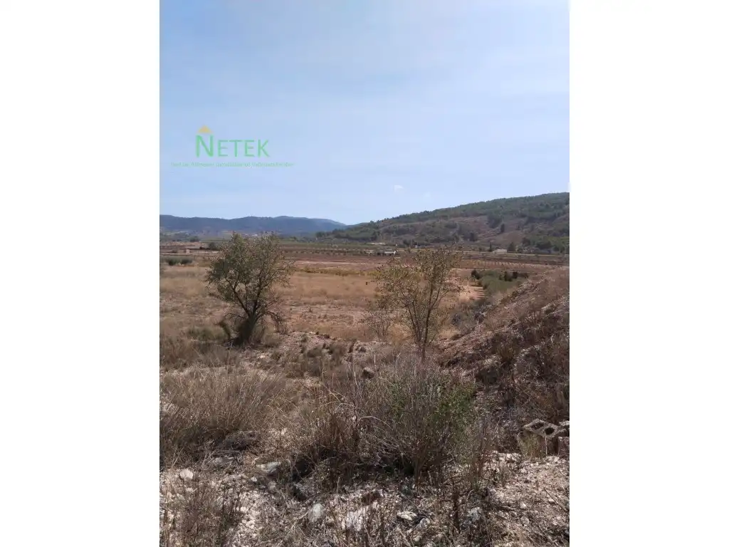 Terreno residencial en venta en Poligono 12 Paraje 137 Sonca, imagen 3