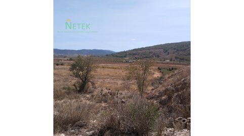 Foto 3 de Residencial en venta en Poligono 12 Paraje 137 Sonca, El Pinós / Pinoso, Alicante