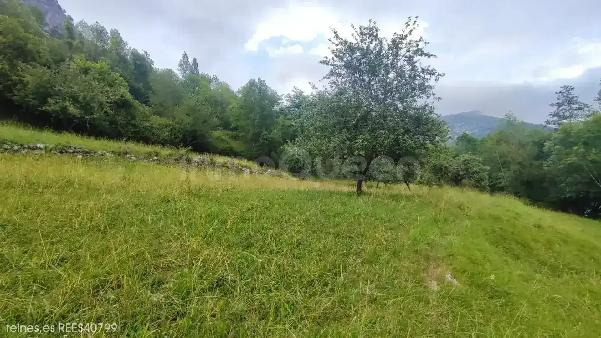 Lands and plots for sale in N/A, imagen 6