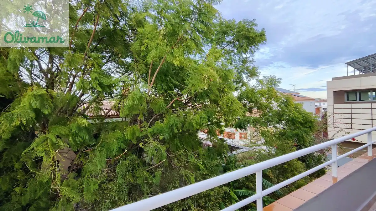 Terrassa de Casa o xalet en venda en Oliva amb Moblat