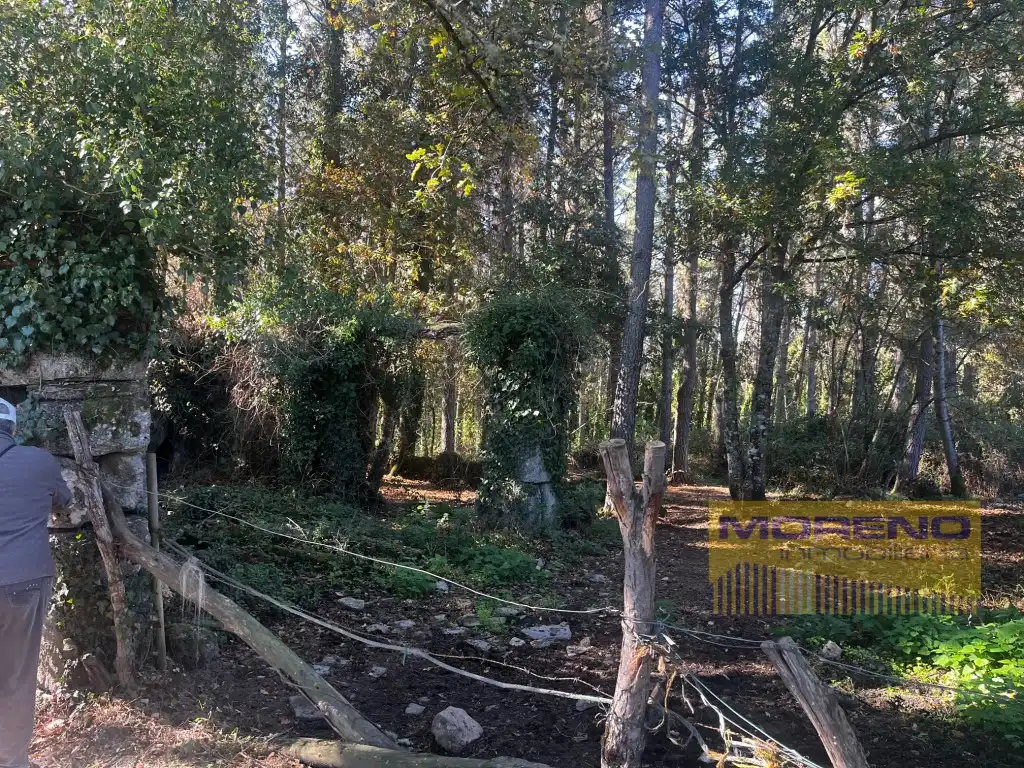 Maison à vendre à Lugar Piñeiro - Pq Piñeiro, imagen 35