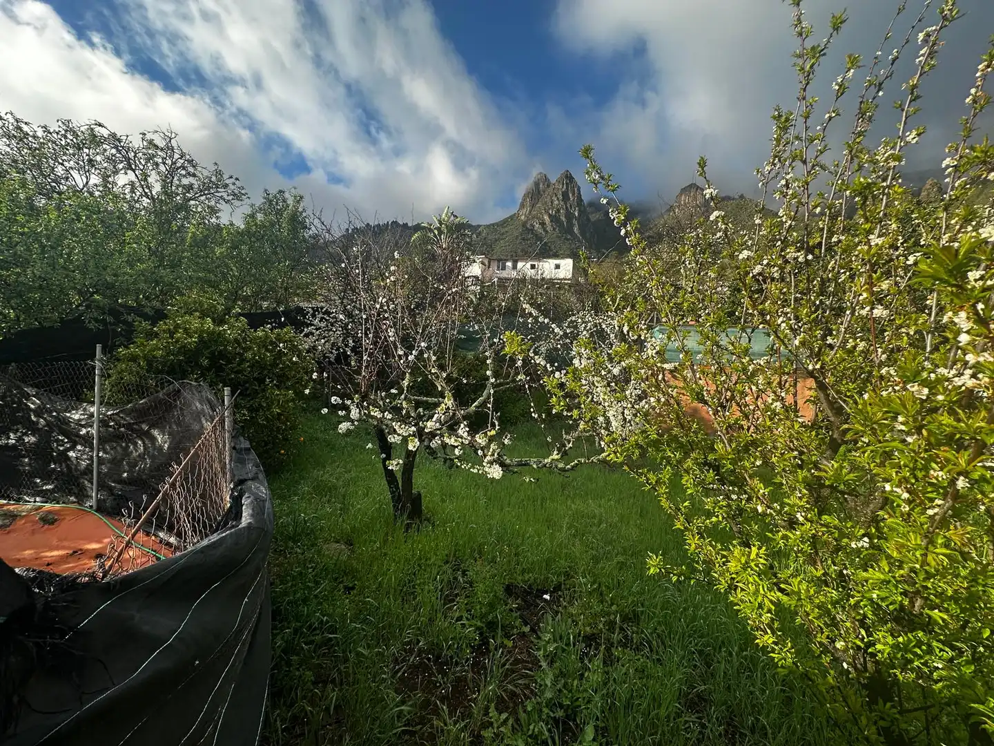 Jardí de Casa o xalet en venda en Valsequillo de Gran Canaria amb Jardí privat, Terrassa i Traster