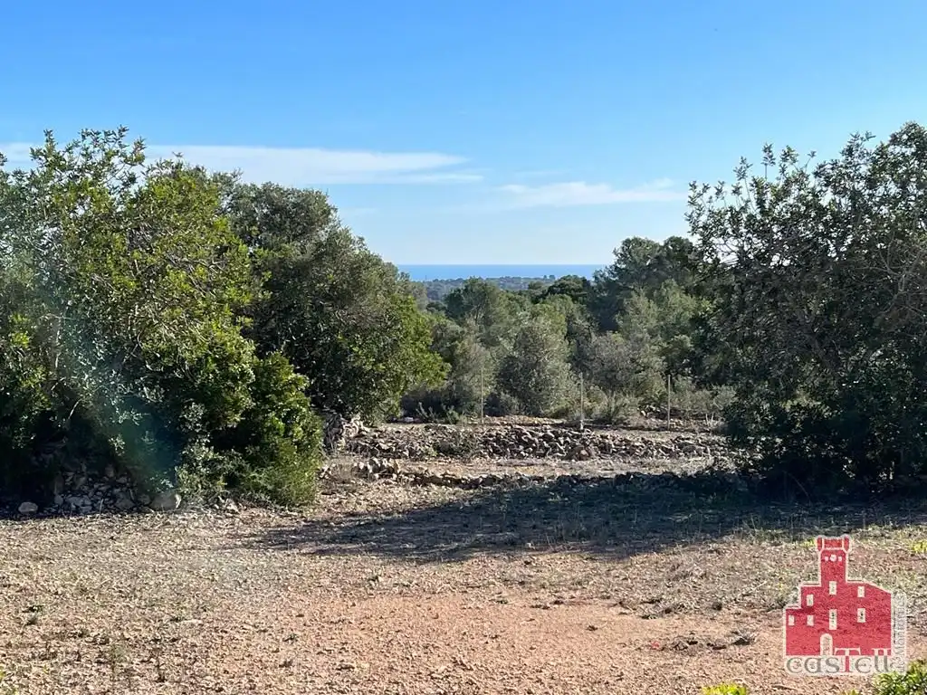 Terreno en venta en La Pobla de Montornès  