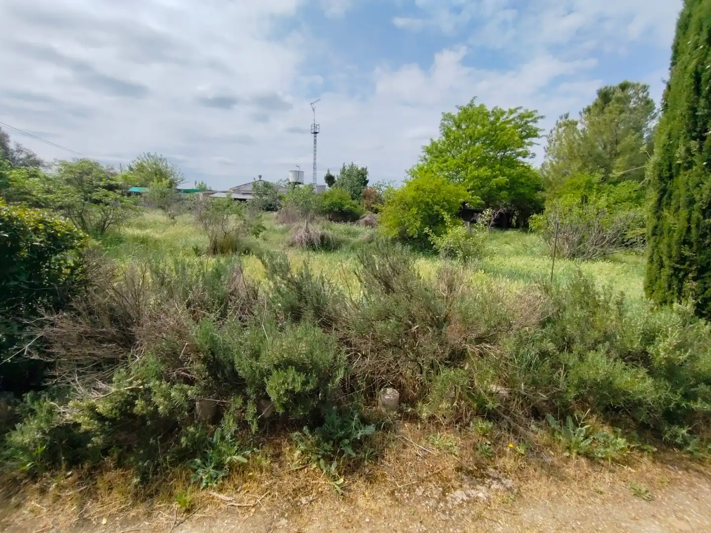 Terreno rustico in vendita a Diseminado C 302 Cr, imagen 13