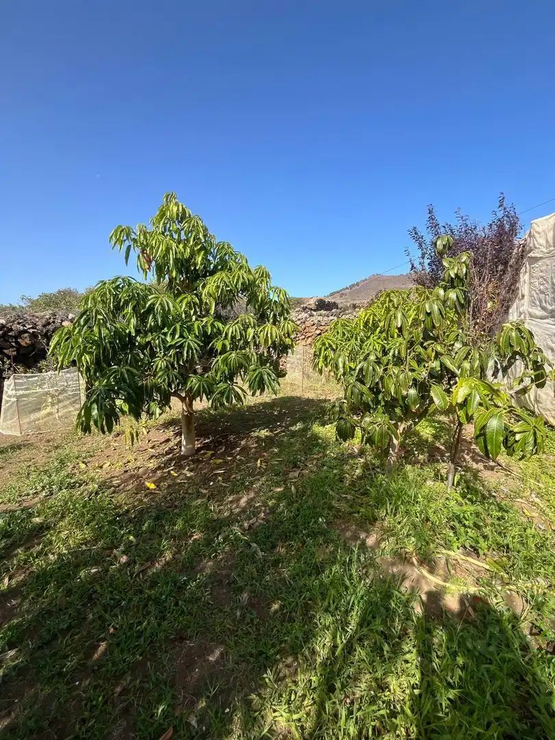 Residencial en venta en El Pinar de El Hierro