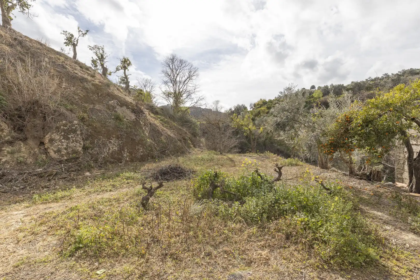 Finca rústica en venta en El Valle, Serón