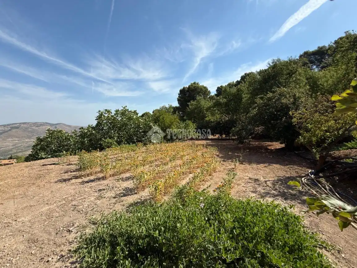 Finca rústica en venda en Jaén amb Jardí privat i Piscina