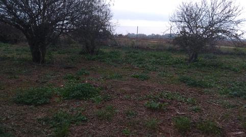 Foto 5 de Casa o chalet en venta en Carretera del Pago del Humo, Pelagatos - Pago del Humo, Cádiz