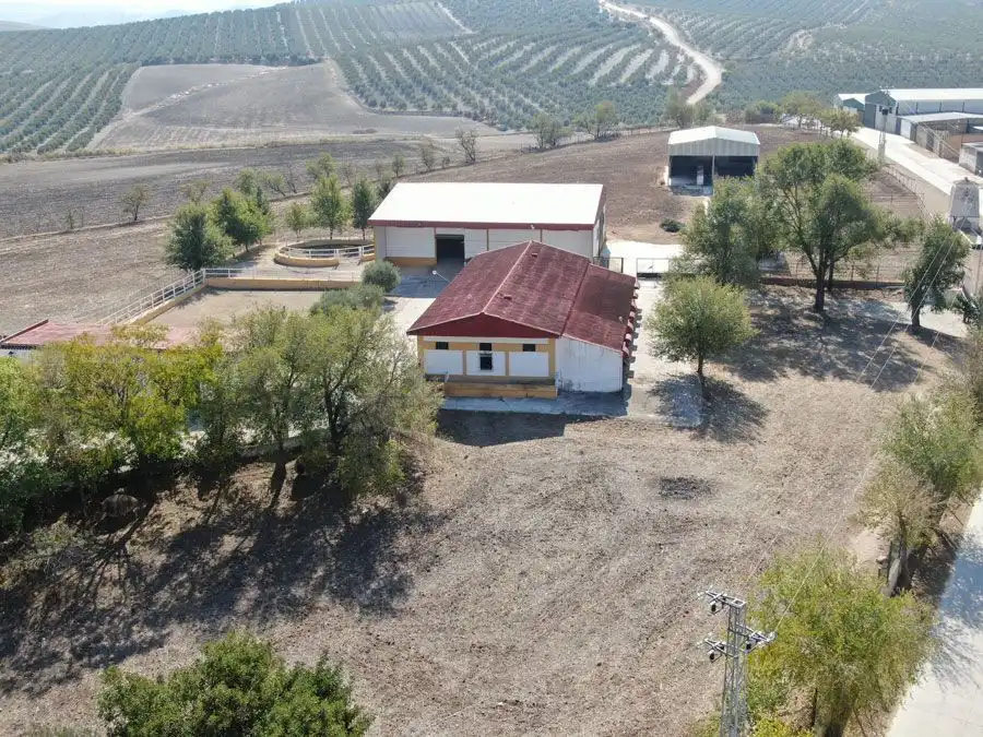 Exterior view of Country homes for sale in Marchena  with Terrace and Swimming Pool