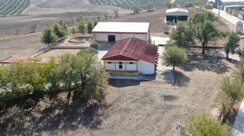 Photo 3 of Country homes for sale in Marchena, Sevilla
