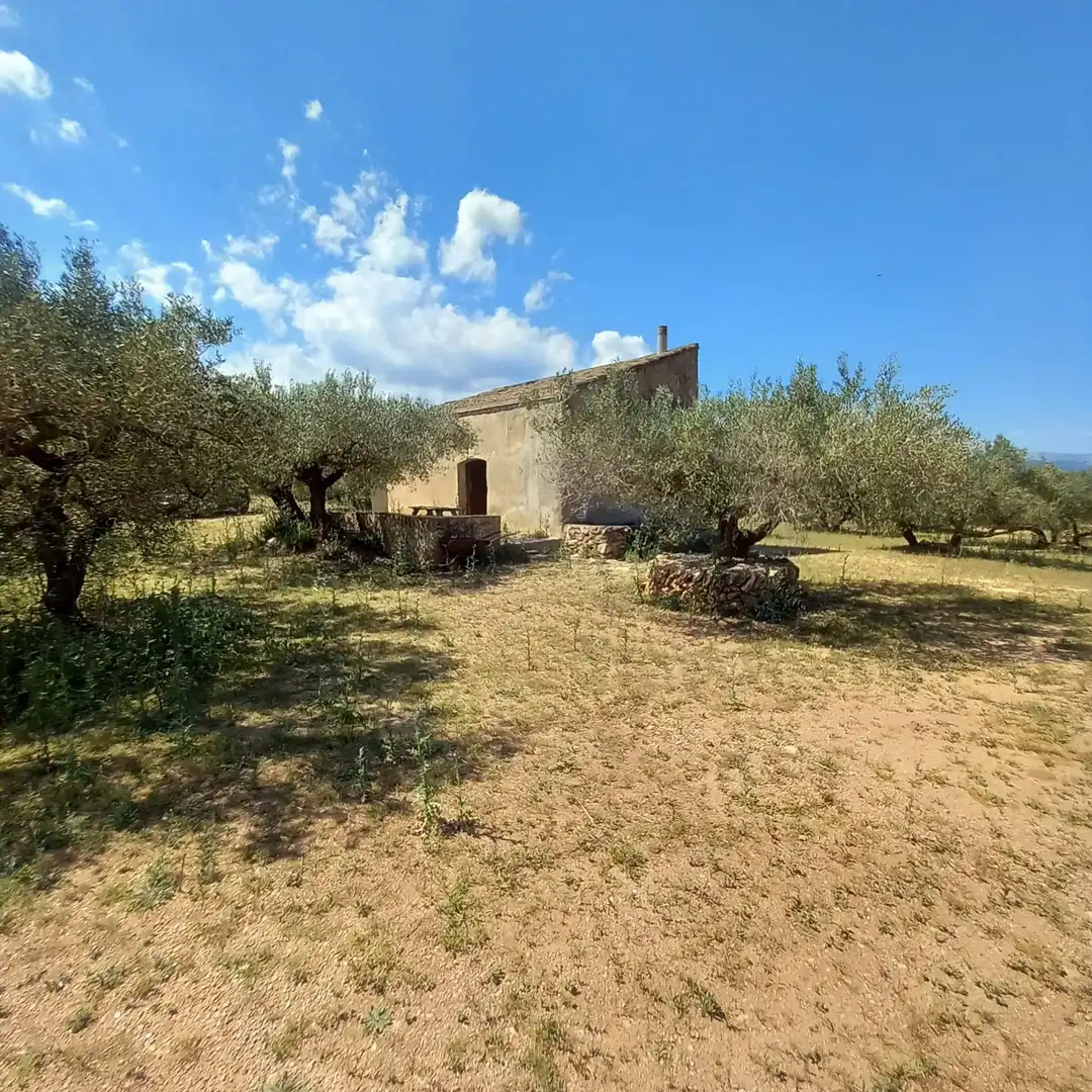 Maison à vendre à Roquetes, imagen 6