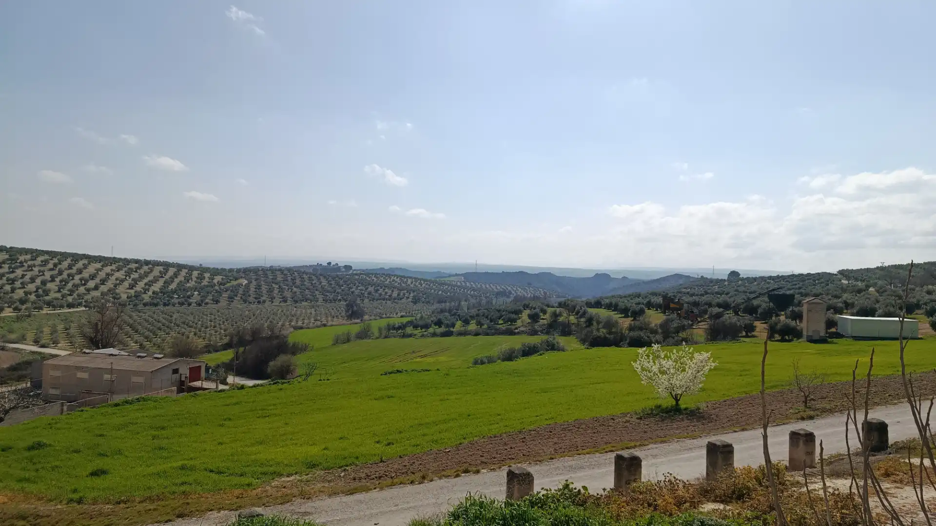 Single-family semi-detached for sale in Moraleda de Zafayona  with Private garden and Alarm