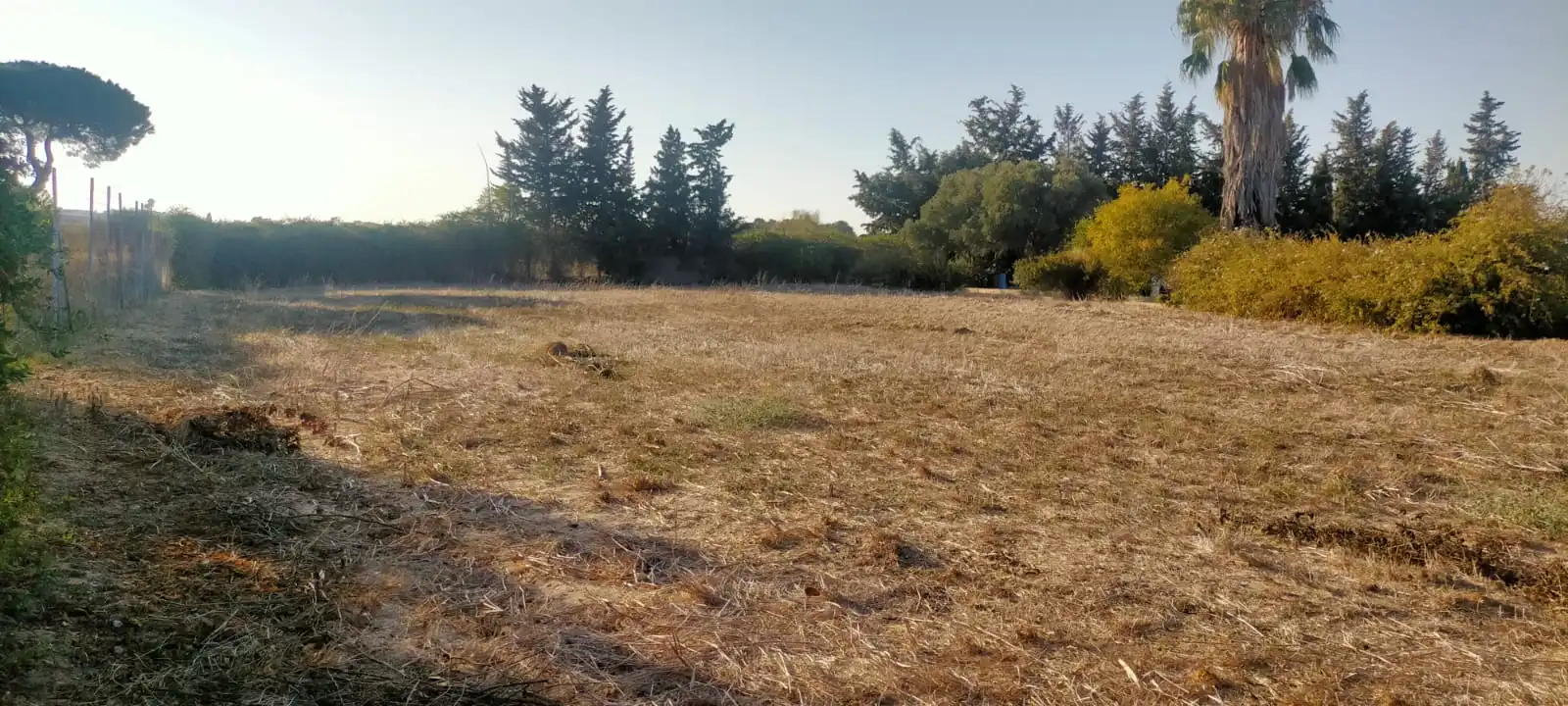Rural land for sale in El Juncal - Vallealto, imagen 15